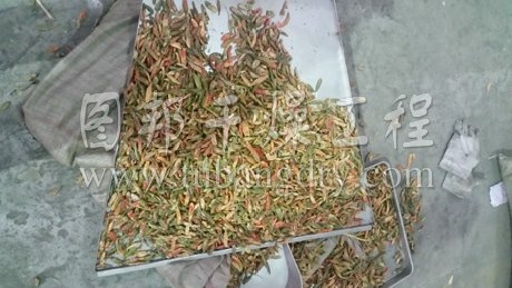 萬能高效粉碎機組